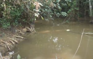 Mulher que estava desaparecida é encontrada da pior maneira possível na beira de rio; veja vídeo